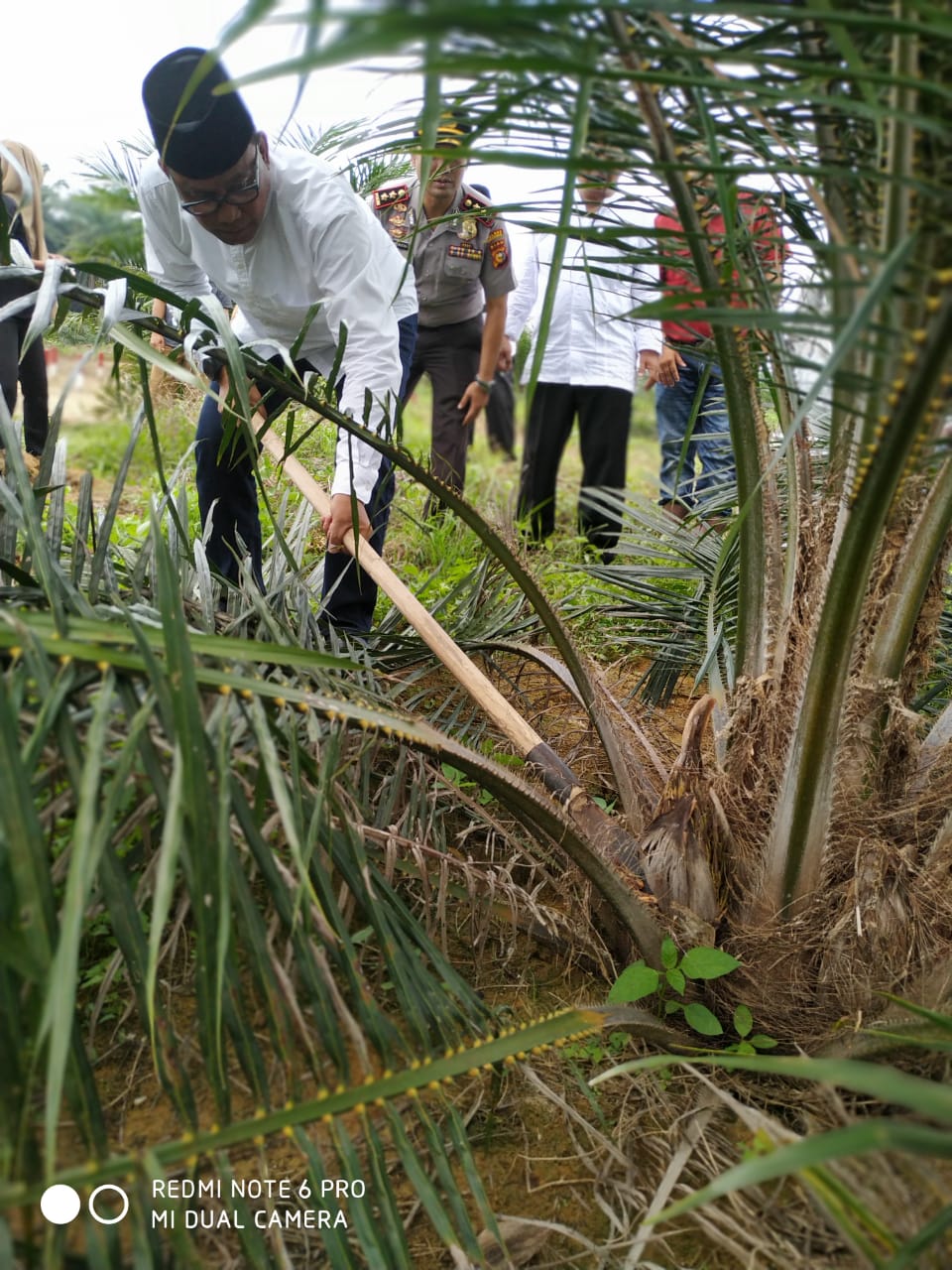 riaubertuah.id