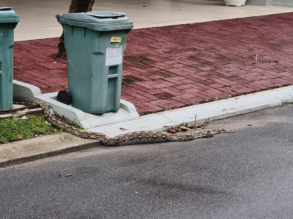 1695020538-RiauBertuah co-WhatsApp Image 2023-09-18 at 13 46 49