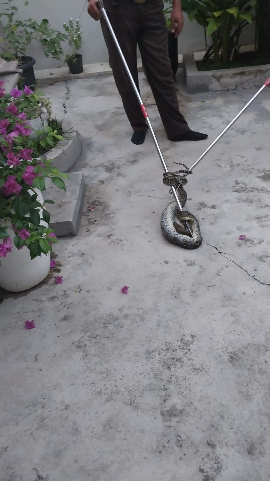 1695020564-RiauBertuah co-WhatsApp Image 2023-09-18 at 13 46 50 (1)