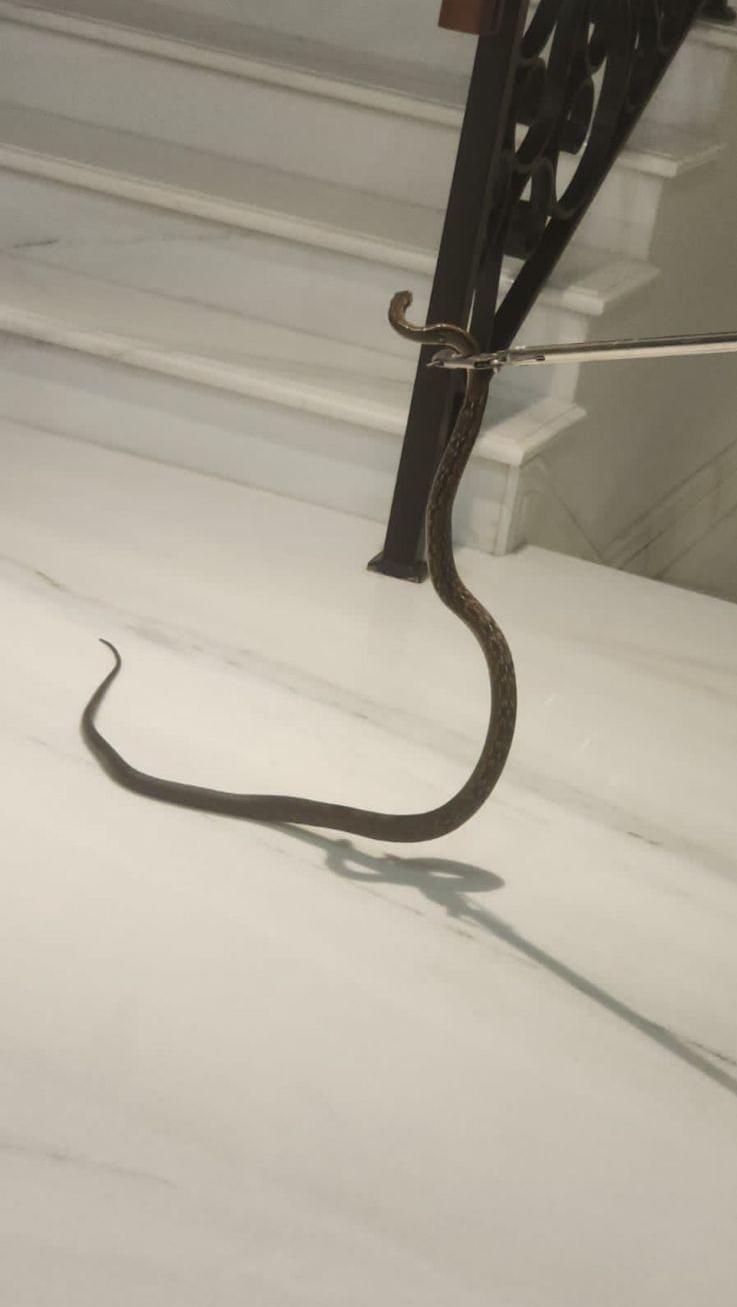 1695020605-RiauBertuah co-WhatsApp Image 2023-09-18 at 13 46 51