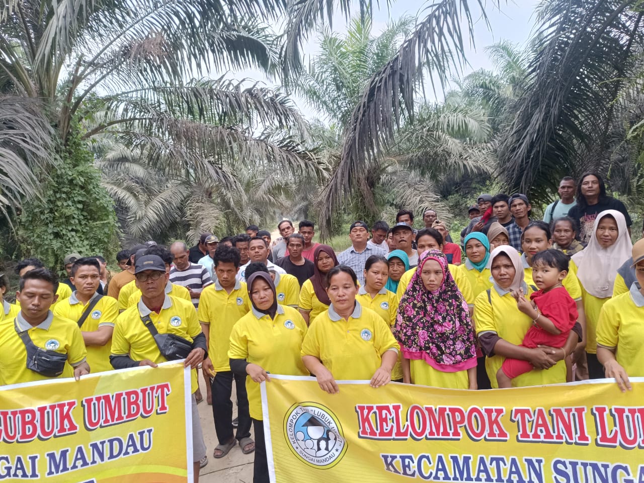 riaubertuah.id